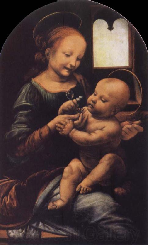 Leonardo  Da Vinci Madonna with a Flower Germany oil painting art